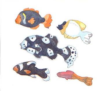 /i/korea/Busan_Fish2.jpg
