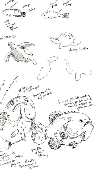 /i/korea/aquariumfishBusan2.jpg