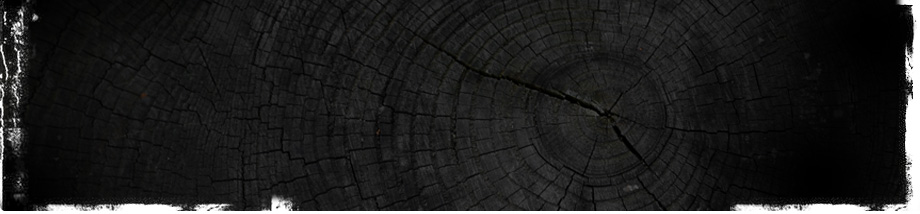 Header Graphic